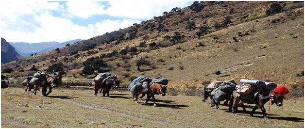 Soi Yaksa Trek